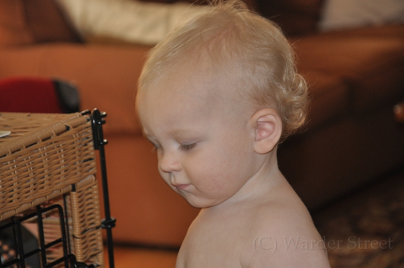 William's Fifty-Fifth Week 063.jpg